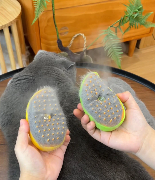 Cat Steamy Brush